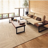 【現貨】日本TOLI東理寵物防滑地墊/地毯(型號FF4200)，50*50CM/10片裝