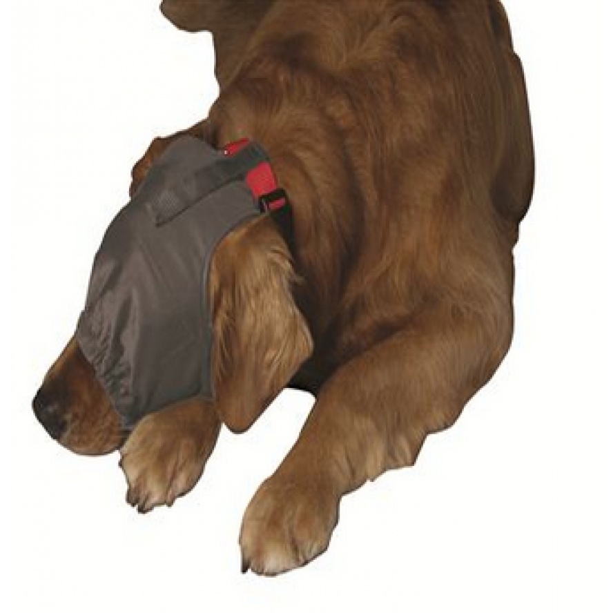 美國ThunderCap 安定眼罩，安撫狗狗焦慮狀態