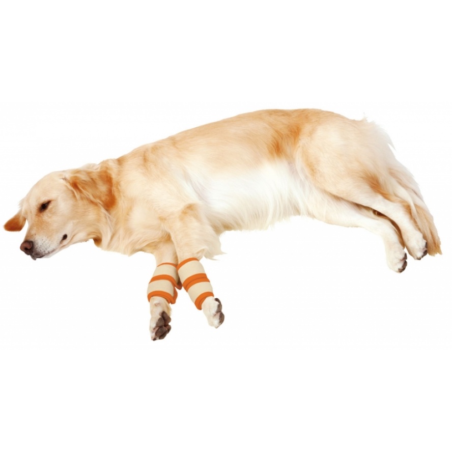 日本Petio介護犬用護膝，降低褥瘡舒緩關節炎及摩擦/大尺寸