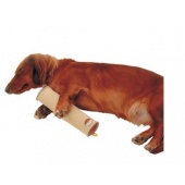 日本Petio老犬介護~防褥瘡緩衝棒，適用手腳間/小尺寸2入