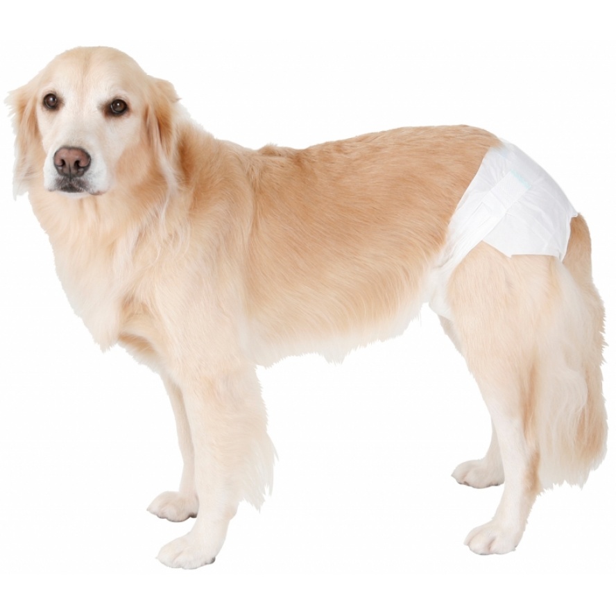 日本PETIO介護~尿失禁用『單穿』紙尿褲/3L(40-64公分腰圍大型犬適用)12枚