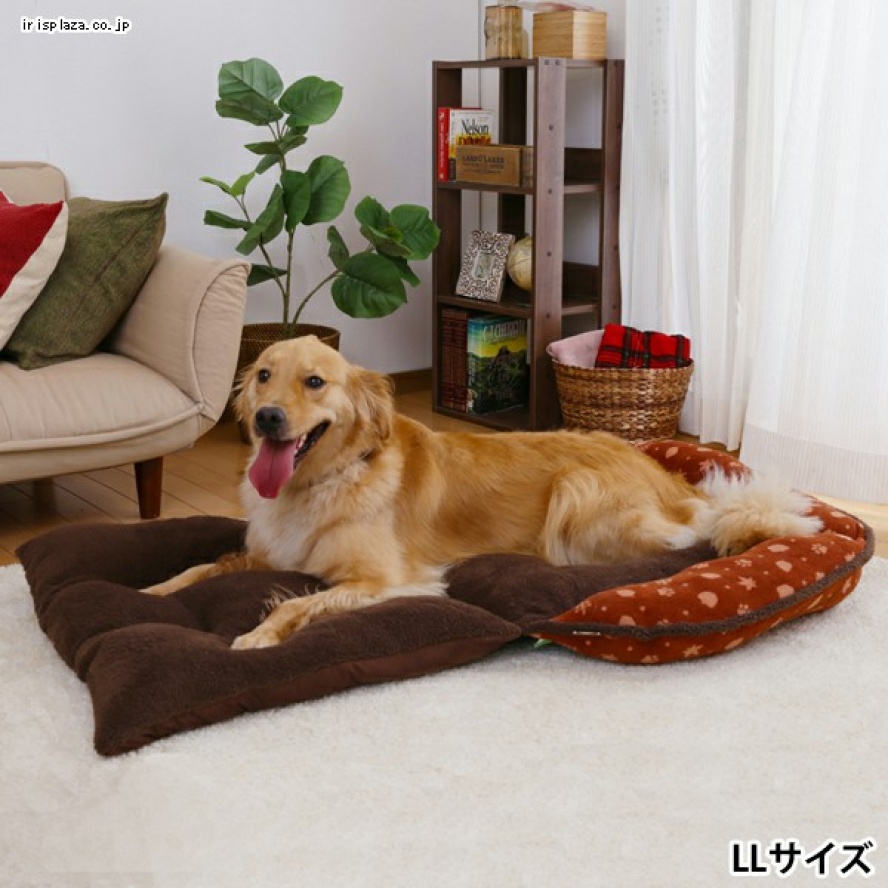 超特惠~日本IRIS冬收~兩用摺疊沙發床/XL號兩色