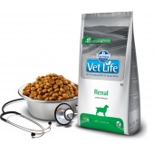 義大利法米納Vet Life獸醫寵愛天然處方犬糧~VD9 犬用腎臟配方/2kg