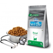 義大利法米納Vet Life獸醫寵愛天然處方貓糧~VC5 貓用腎臟配方/2kg