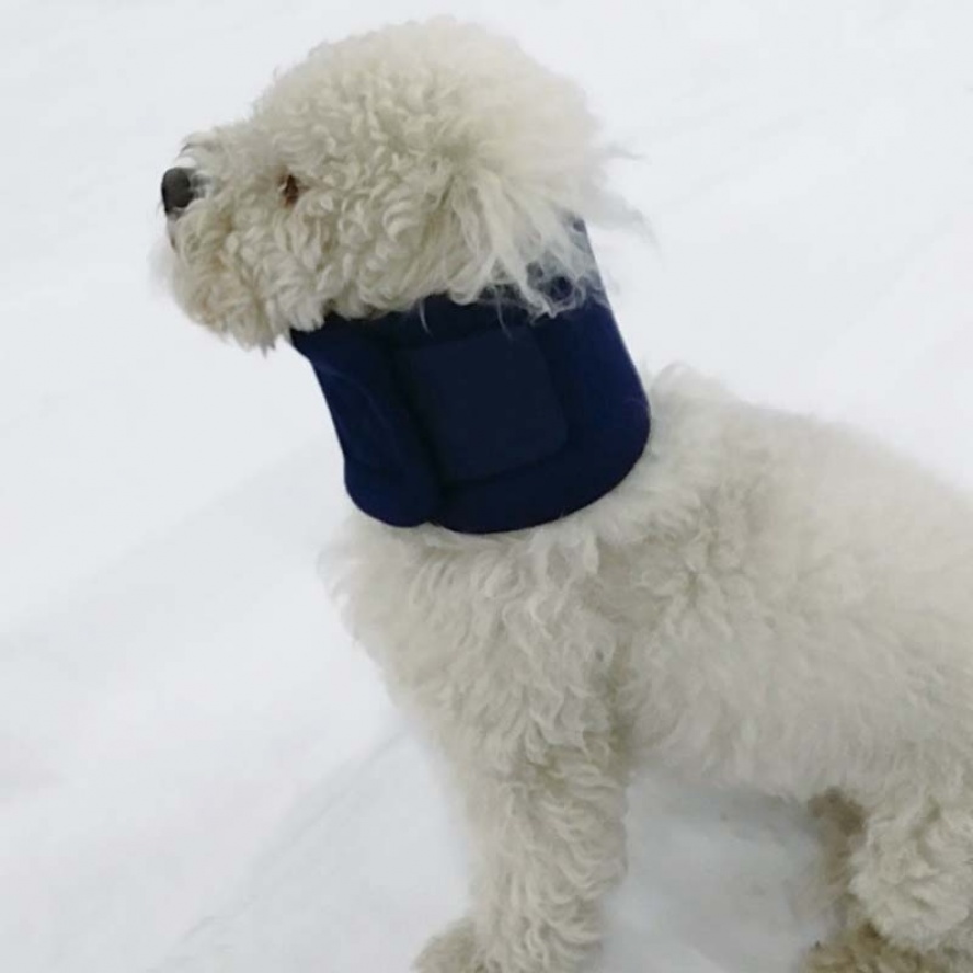 頸椎護套~保護受傷的頸椎/中大型犬