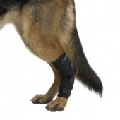 丹麥Kruuse 犬用復健護踝