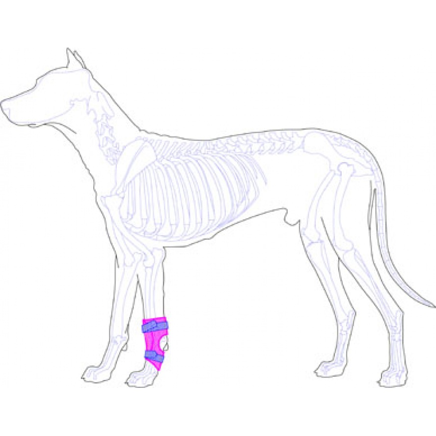 前肢(腕關節)塑型護具/小型犬貓適用