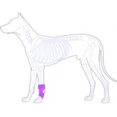 前肢(腕關節)塑型護具/小型犬貓適用_[0]