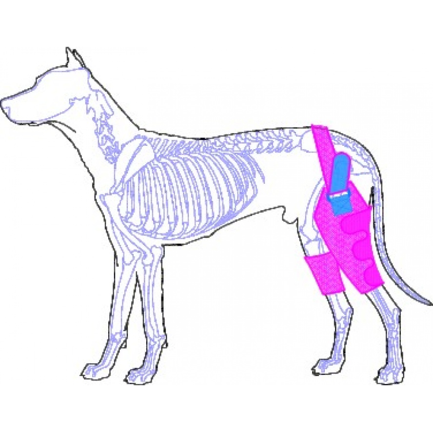後肢/膝部保護護套，術後防護之用/小型犬適用