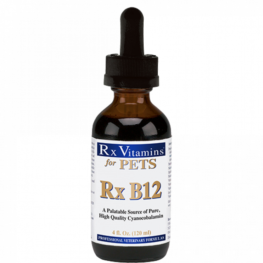 Rx Vitamins維他命B12營養補充液/120ml