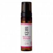 推!!日本APDC病氣OUT潔淨泡（茶樹乾洗幕斯），病老犬平日潔淨用/200ML_[5]