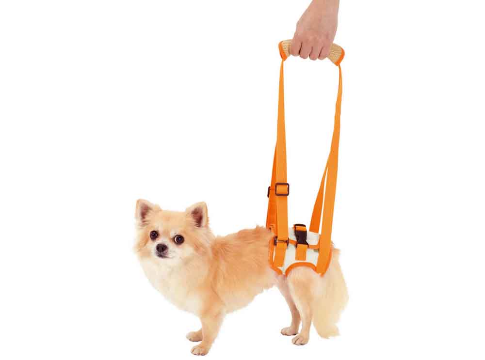 老犬後足步行輔助帶S號 寵物 後腳步行輔助器