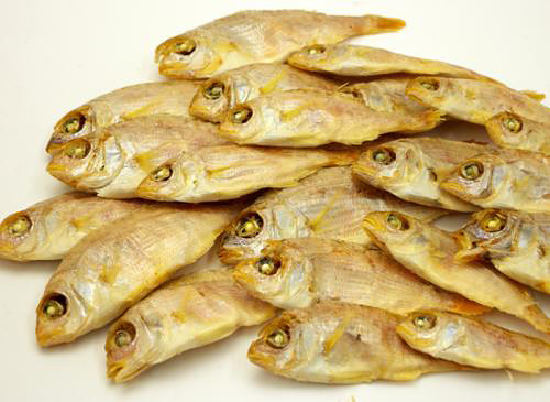 日本michinokufarm純天然 限定豆鯛魚 鮮美補鈣 g 貓咪最愛 零食點心 汪汪 嚴選零食 Vbone 寵物購物網 寵物商品嚴選 專業保健